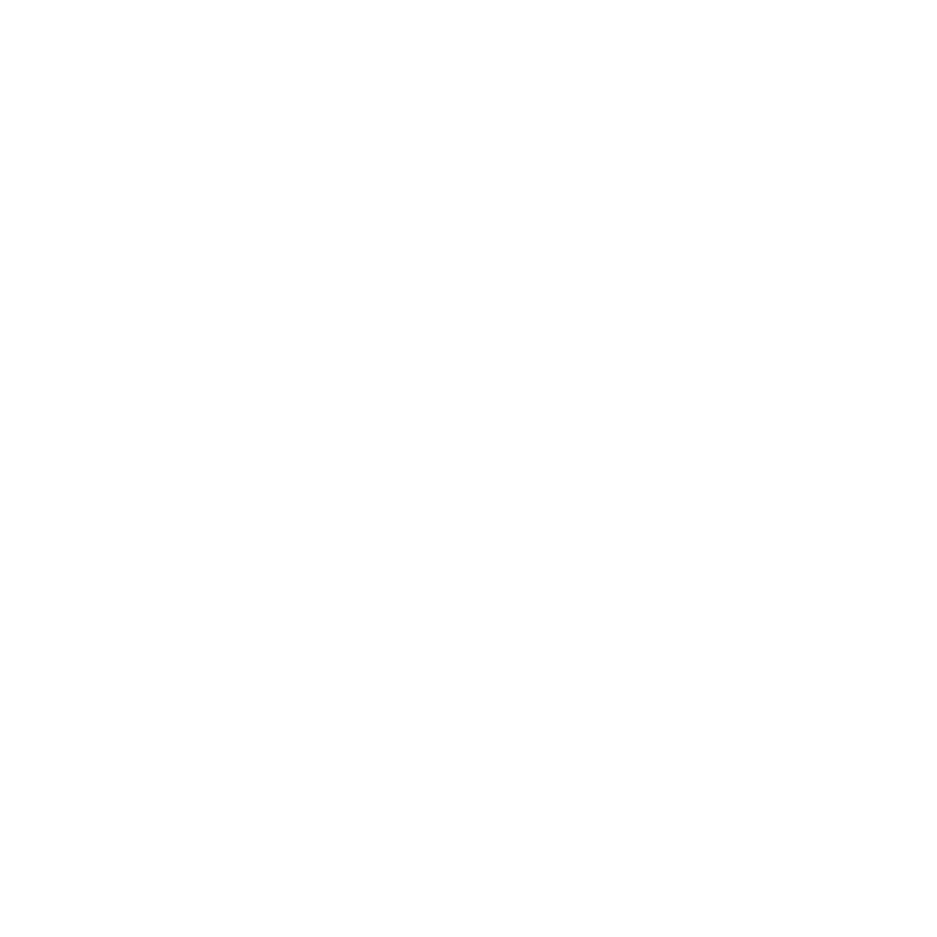 Standalone torch icon — white version